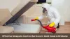 Effective Mosquito Control Services in Gold Coast &amp; Brisbane Article - ArticleTed -  News and Articles