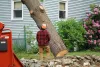 Tree Removal Service Near Me Half Moon Bay CA
