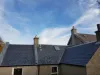 How to Choose the Best Roofing Contractors Company