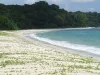Chalo Emerald: How Can The Best Andaman Tours & Travel Agency Make Your Holiday of Dreams Come True?