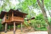 Things to keep in mind while travelling Wayanad
