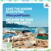 Purchase Recycled Granules from Best Plastic Recycling Companies