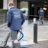                     Pressure &amp; Steam Pty Ltd - Carpet Cleaning - Lavage de vitre/Window cleaning in Narrabeen | Flokii    