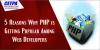 5 Reasons Why PHP is Getting Popular Among Web Developers?