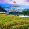 A Complete Guide For Couples to a Perfect Long Weekend in the Yarra Valley - Chauffeur Drive, Melbourne, Yarra Valley