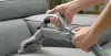 Find Some Easy Cleaning Solutions For Sofa And Couch