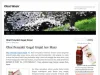 Obat Wasir Herbal Alami Tradisional Ace Maxs Sudah terbukti mampu mengobati penyakit wasir hingga tuntas dan tidak menimbulkan efeksamping. 