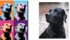 Wall Art: How To Convert Photo To Pop Art: directartau — LiveJournal