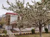 Gilgit – Baltistan Blossom &amp; Autumn Tours 2023-24 - Booking Now