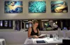              Marketing Strategies for Restaurant Managers to Employ to Attract TouristsTravel Experta – Specializing in Family Travel