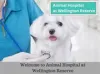 Pet boarding in la
