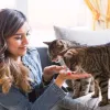 Treating Seizures In Cats With CBD Cat Pet Treats by Everlasting Life CBD - CBD For Life