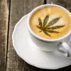 Start Your Day With CBD Coffee Online to Stay Energized And Stress Free!!! by Everlasting Life CBD - CBD For Life