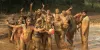Avoid Ignoring a Few Things to do in Sakleshpur during Holidays
