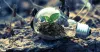 Daily Technology Blog - What is Green Technology?