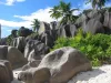 Zu besuchende Orte auf Ihrer Pauschalreise auf den Seychellen on Tildee | How-to and step-by-step instructions