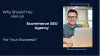   	Why Should You Hire an Ecommerce SEO Agency For Your Business? : Kalamwali  