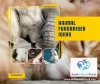 Animal Fundraiser Ideas