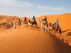 Best Morocco Tours