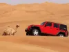 Desert Safari Tours