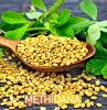 Methi Dana - A healthy addition to your diet