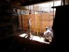 Best Basement Renovation Companies Oakland