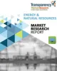 Wastewater Treatment Plant Maintenance Services Market, 2030