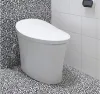 How to Use a Bidet Toilet Combo