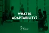 What is Adaptability?