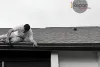 Repair Screen Patio, Local Gutter Installation Boca Raton FL