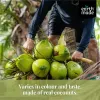 Make Refreshing Mocktails with Healthy Coconut Water Drinks - JustPaste.it