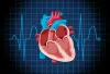 Unveiling The Innovations: A Comprehensive Guide To TAVR Procedure And Mitral Valve Stenosis Treatment – Shop 4 You