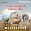 Ayurvedic Treatment in Himalaya at Cottage Nirvana: How Do Yoga And Meditation Help In Kid’s Development?