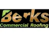 Commercial Roof Coatings 