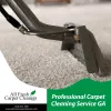 Say Goodbye to Pet Odors: Expert Solutions in Georgia