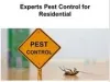 Ensure the Best Pest Control Service in Kolkata
