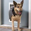 Suitable Door for Your Pet