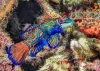 Try a one-time scuba experience from our boat at Tribe Gate in Havelock: seahawksscuba — LiveJournal