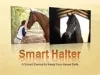 Smart Halter: A Special Technology for Horses