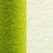 Deco Web On Roll - Lime