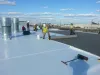 Shingles Roof Repair Services Bellevue WA