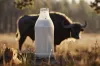 WellHealthOrganic Buffalo Milk Tag