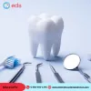 24 Hour Emergency Dentists in Milton-NY