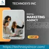 Premier Digital Marketing Agency in Delhi NCR – Technosys Inc