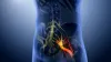 Chiropractor for Sciatica: Manage Pain with Chiropractic Treatment
