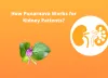 How Punarnava Works for Kidney Patients?