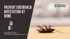 How to prevent cockroach infestation at home