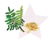Boswellia serrata joint supplement Curcumin - VitaminHaat