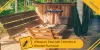 Termites in Wooden Furniture