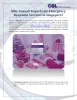 Why Consult Experts for Emergency Response Services in Singapore?  |authorSTREAM      